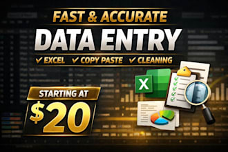 do accurate data entry fast