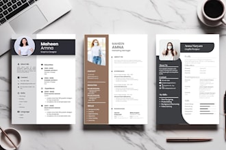 make professional CV and infographic resume