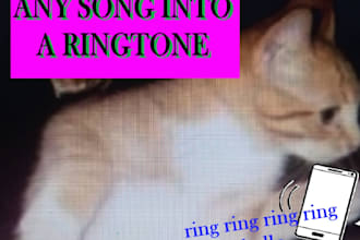 turn any song you want into a ringtone
