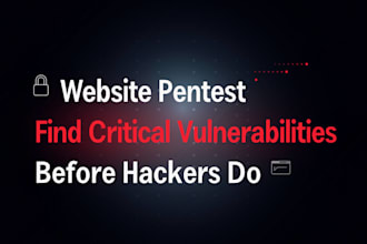 do professional web application penetration testing and security audit