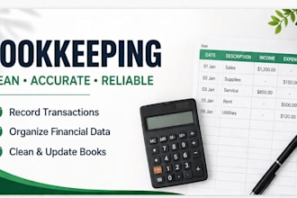 organize financial records and excel data professionally