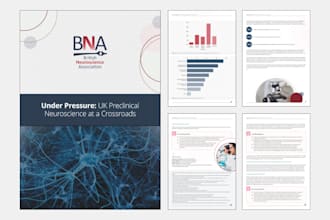 design a professional sponsorship booklet or report