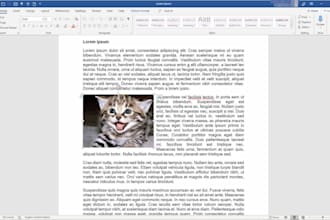 expert in writing and copy paste