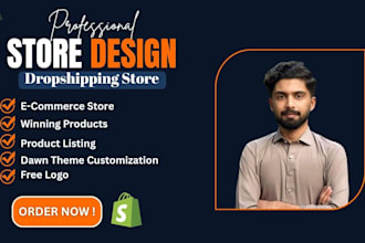 create a professional shopify dropshipping store with custom, paid theme design