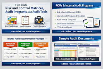 create professional rcms and risk based internal audit programs