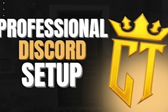 setup a professional discord server for gaming or business