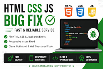 fix HTML CSS and javascript bugs in your website