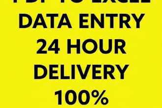 convert PDF to excel typing with full accuracy and one day delivery