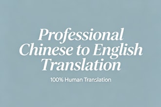 translate chinese to english professionally