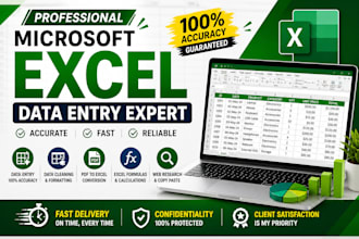 do excel data cleaning with 100 percent accuracy