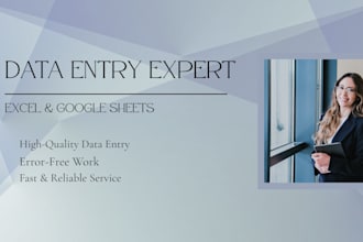 professional data entry copy paste and web research