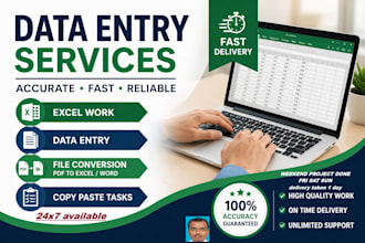 do accurate dataentry excelwork and file conversion xl2pdf w2p pdf2xl