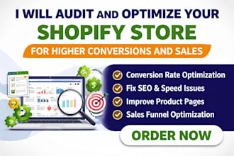 audit and optimize your webstore, ecommerce web to increase sales conversion