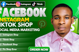 set up and optimize tiktok shop, shopify store, facebook and instagram shop