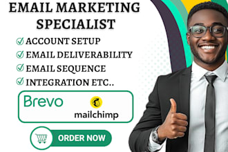 design editable custom brevo email marketing template bravo mailchimp newsletter