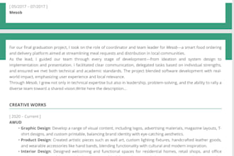 write a professional ats resume and cover letter