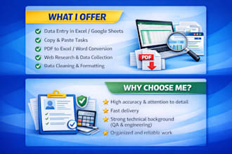 do data entry, excel, copy paste, web research, PDF conversion