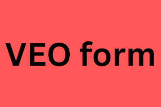 create professional and responsive veo form