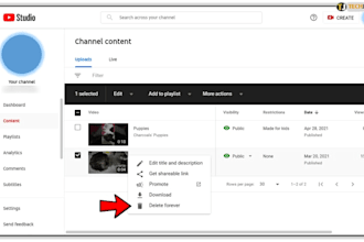 permanently delete youtube video, channel delete, unwanted video