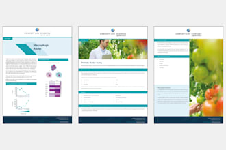 design a professional report or whitepaper