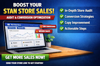 audit stan store sales issues conversion optimization