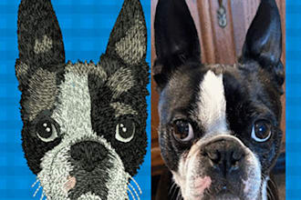 do embroidery digitizing for pets, hats, jackets in 24hrs