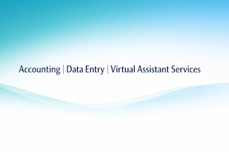 provide accounting, bookkeeping, data entry and virtual assistant services remot