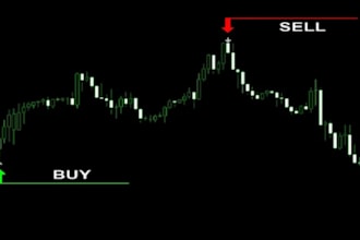 build a custom forex trading website with mql5 automated bot integration,p2p kyc