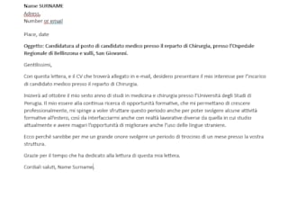 translate any document or book you need into italian
