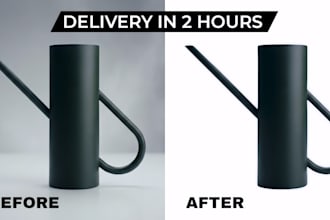 background removal and transparent png in 3 to 8 hours