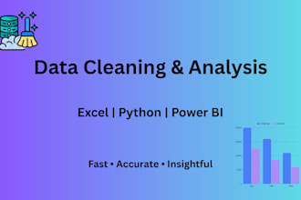 do data cleaning and analysis in excel or python