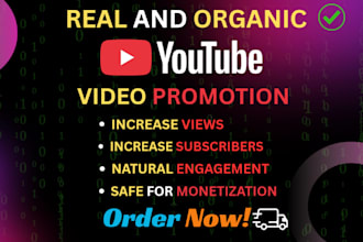 do professional real youtube video promotion organically