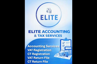provide professional accounting and tax services in uae