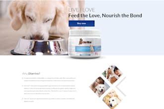 do logo design and custom branding solutions