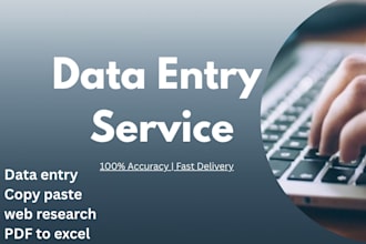 do web research and data entry with clean excel formatting