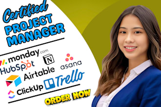 setup notion template trello clickup monday workflow dashboard automation expert