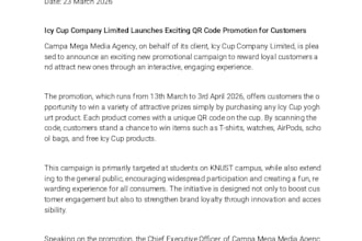 write blogposts, press releases and proof read