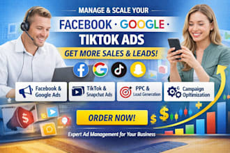 manage your ads on meta, google, tiktok, and snapchat