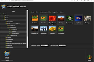setup plex jellyfin emby server on ubuntu synology window qnap unraid, server