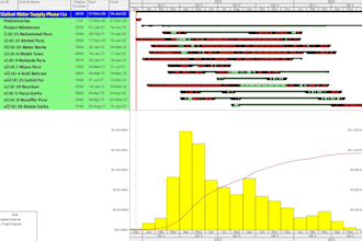 create a professional primavera p6 project schedule