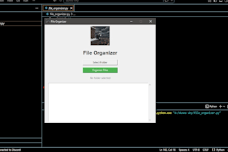 create a python automation script to organize your files