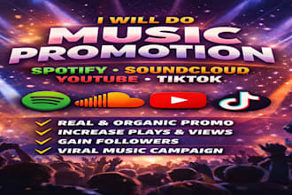 do spotify souncloud music youtube tiktok music promotion