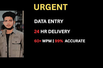 do urgent data entry typing work in 24 hours, 60  wpm