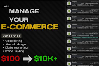 run ads for your shopify  store