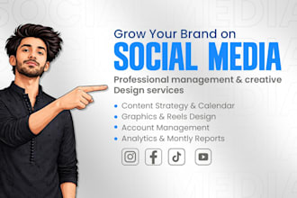 handle your social media, plan growth,marketing  and post design
