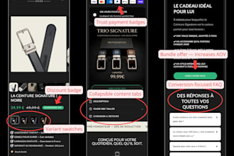 audit your shopify store, conversion and performance analysis