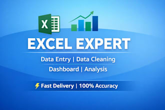be your excel expert for data entry, formulas and dashboards