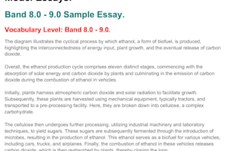 help you improve your ielts writing score with detailed correction and feedback