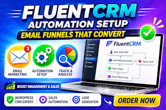 set up fluentcrm, fluent forms and wordpress email automation expert