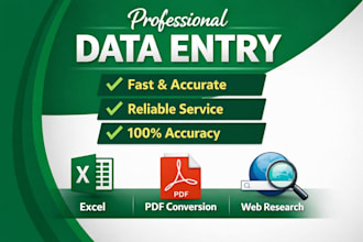 do high quality and accurate data entry works